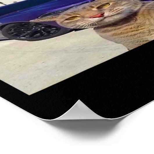 規則1常にボスアップCatおもしろいミーム男性へWom ポスター (角)