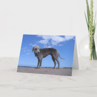 規範のixus 057 カード