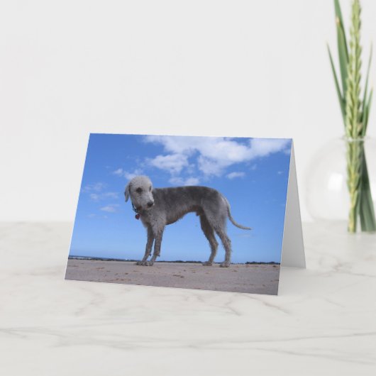 規範のixus 057 カード (正面)