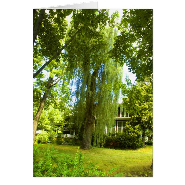 視力カードのほとんど向こう場所の-ミステリー (正面)