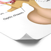 視床下部ポスターの核 ポスター (角)