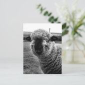 視界から消えたM-a-a-n ポストカード (スタンド正面)