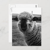 視界から消えたM-a-a-n ポストカード (正面/裏面)