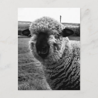 視界から消えたM-a-a-n ポストカード