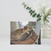 視界を共有して抱き締める犬 ポストカード (スタンド正面)