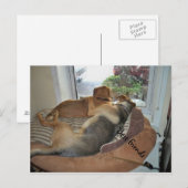 視界を共有して抱き締める犬 ポストカード (正面/裏面)