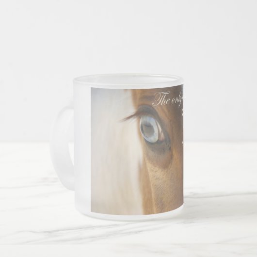 視覚は全く無い フロストグラスマグカップ (正面左)