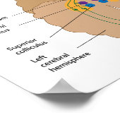 視覚投影経路ポスター ポスター (角)