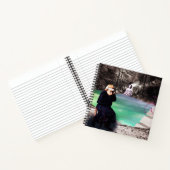 視覚的な現実 ノートブック (内部)