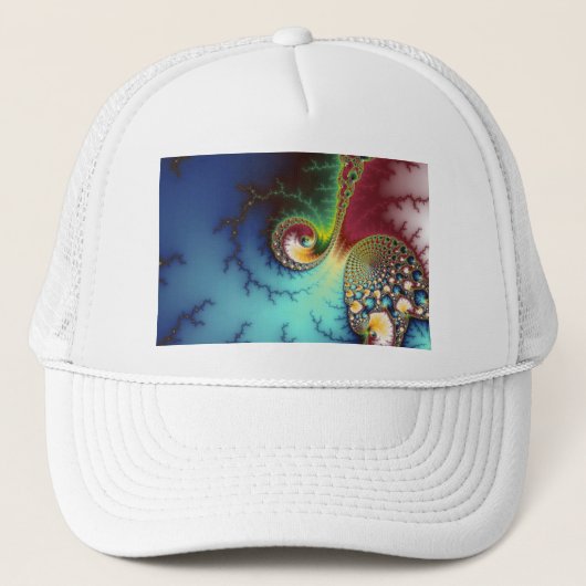 視覚皮質 キャップ (正面)