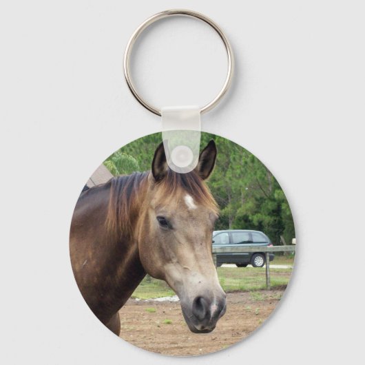 視覚 キーホルダー (正面)