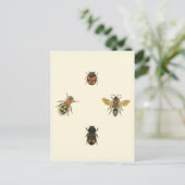 視野のスタジオによるはえそしてカブトムシ ポストカード (スタンド正面)