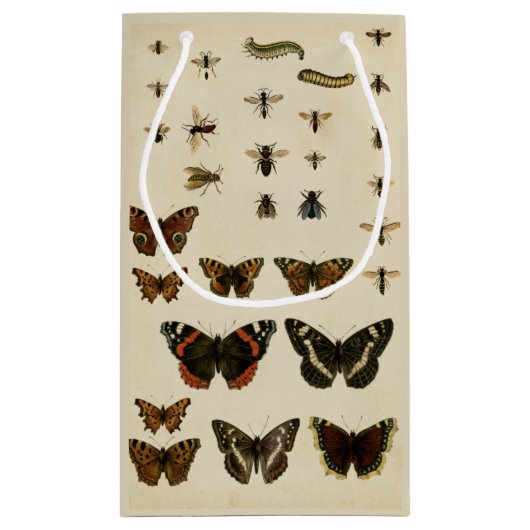 視野のスタジオによる庭の昆虫 スモールペーパーバッグ (裏面)