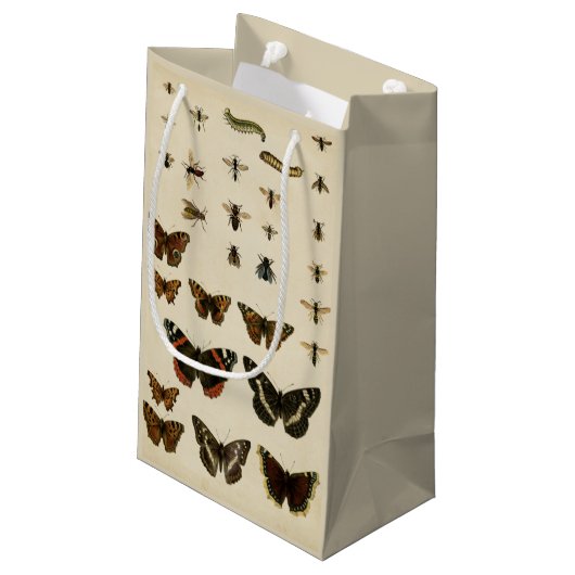 視野のスタジオによる庭の昆虫 スモールペーパーバッグ (裏面アングル)