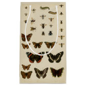 視野のスタジオによる庭の昆虫 スモールペーパーバッグ (正面)