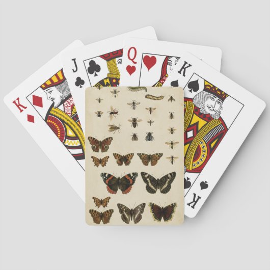 視野のスタジオによる庭の昆虫 トランプ (裏面)