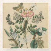 視野のスタジオによる蝶生命のステージ ガラスコースター (正面)