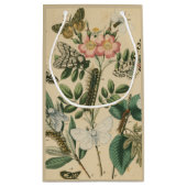 視野のスタジオによる蝶生命のステージ スモールペーパーバッグ (裏面)