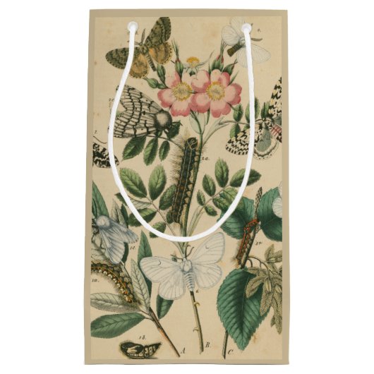 視野のスタジオによる蝶生命のステージ スモールペーパーバッグ (正面)