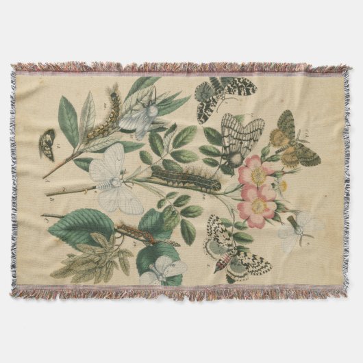 視野のスタジオによる蝶生命のステージ スローブランケット (正面)