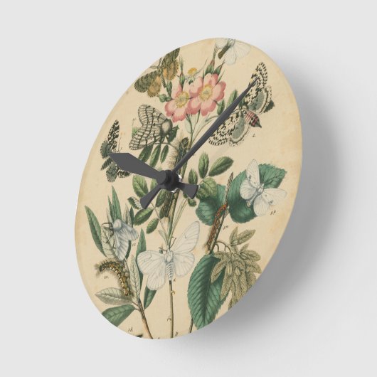視野のスタジオによる蝶生命のステージ ラウンド壁時計 (傾斜)