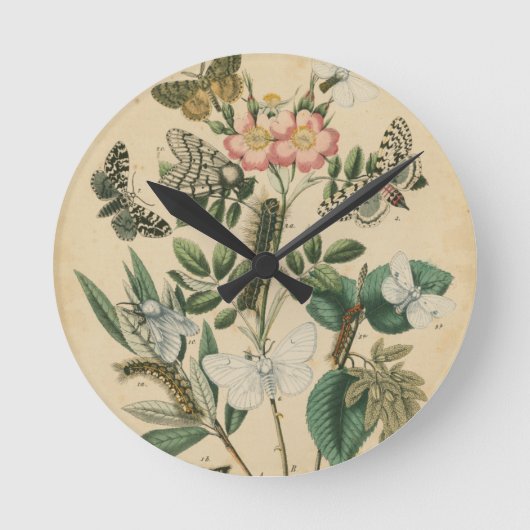 視野のスタジオによる蝶生命のステージ ラウンド壁時計 (正面)