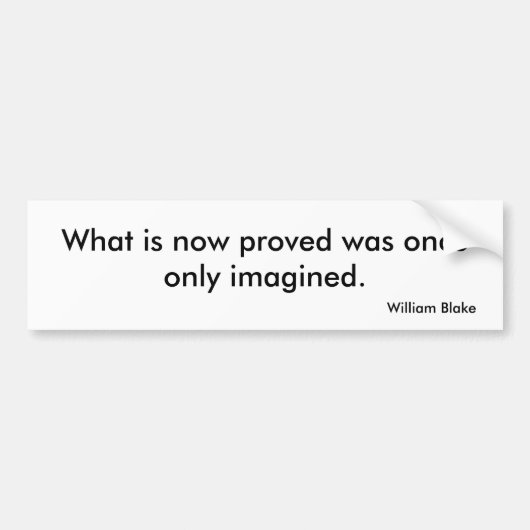 視野のバンパーステッカー バンパーステッカー (正面)