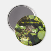 覗いてるのか！ マグネット (正面/裏面)