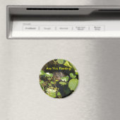 覗いてるのか！ マグネット (インサイチュ (食洗機))