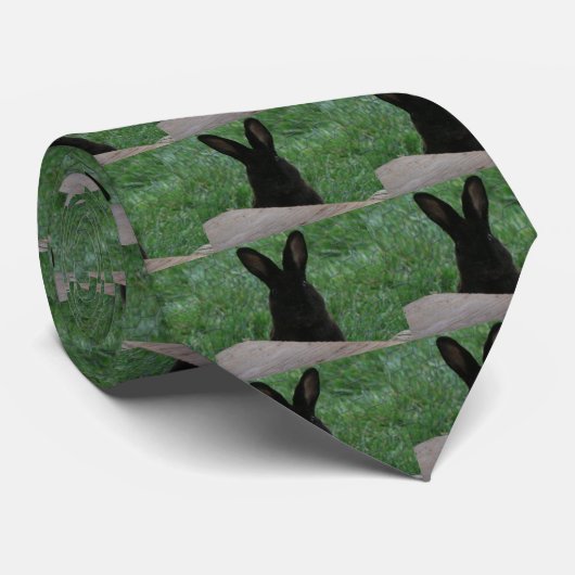 覗き見る ネクタイ (ロール)