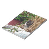 覗き見る ノートパッド (回転)