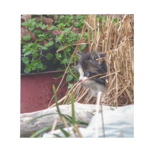 覗き見る ノートパッド (正面)