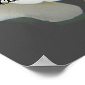 覚えてい恋しく思るサインは、君の、白いバラ ポスター (角)