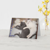 覚えてる….. カード (黄色い花)