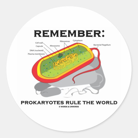 覚えて下さい: Prokaryotesは世界を支配します ラウンドシール (正面)