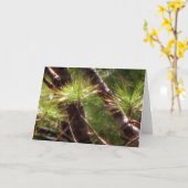 覚醒させた森林 カード (黄色い花)