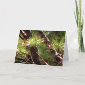 覚醒させた森林 カード (正面)