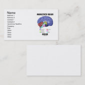 覚醒させた頭脳の内部(頭脳の解剖学) 名刺 (正面/裏面)