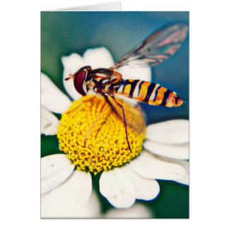 覚醒するHoverfly