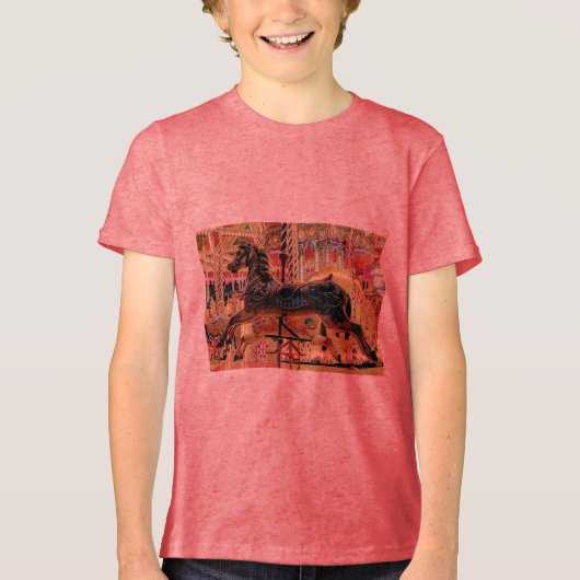 覚醒 トライブレンドTシャツ (正面)