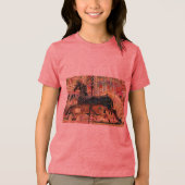 覚醒 トライブレンドTシャツ (正面)