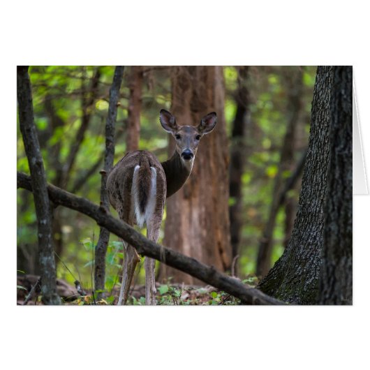 親しく振り返って (正面横)