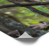 親しく振り返って ポスター (角)