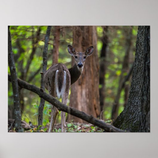 親しく振り返って ポスター (正面)
