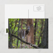 親しく振り返って ポストカード (正面/裏面)