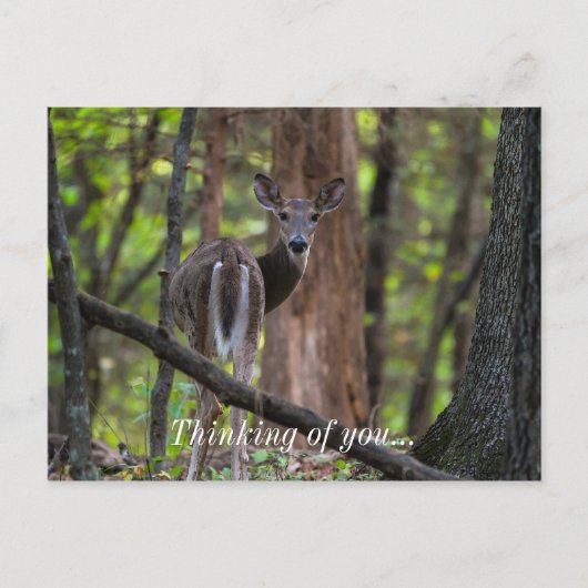 親しく振り返って ポストカード (正面)