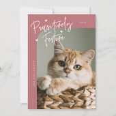 親しみのあるフェスティバル猫フォトピンクのクリスマス シーズンカード (正面)