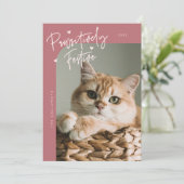 親しみのあるフェスティバル猫フォトピンクのクリスマス シーズンカード (スタンド正面)