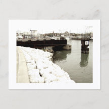 親しみやすいオオカミ ポストカード 印刷
