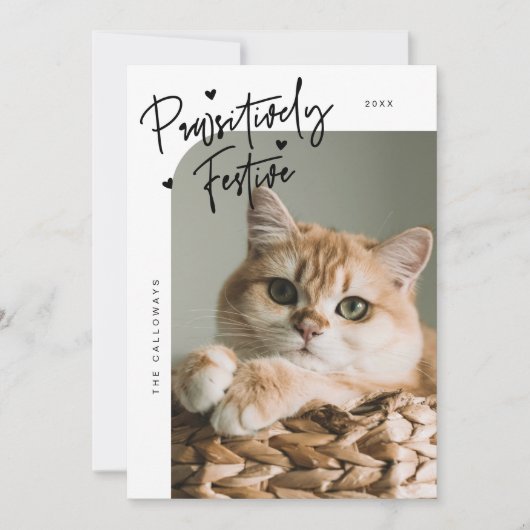 親しみやすいフェスティバル猫フォトホワイトクリスマス シーズンカード (正面)